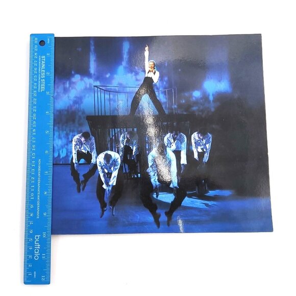 Celine Dion A New Day DVD Set and The Colosseum at Caesars Palace Las Vegas 2007 - Picture 10 of 16